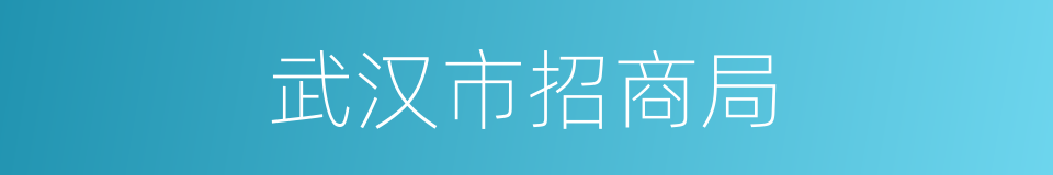 武汉市招商局的同义词