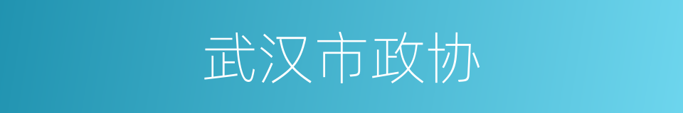 武汉市政协的同义词