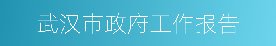 武汉市政府工作报告的同义词