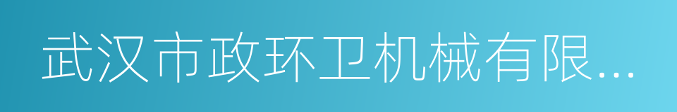 武汉市政环卫机械有限公司的同义词