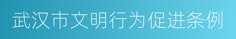 武汉市文明行为促进条例的同义词