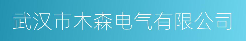 武汉市木森电气有限公司的同义词