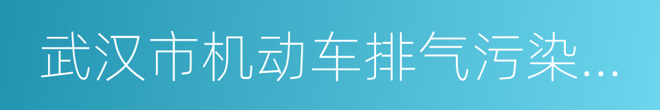 武汉市机动车排气污染防治管理中心的同义词