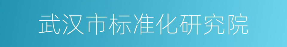 武汉市标准化研究院的同义词