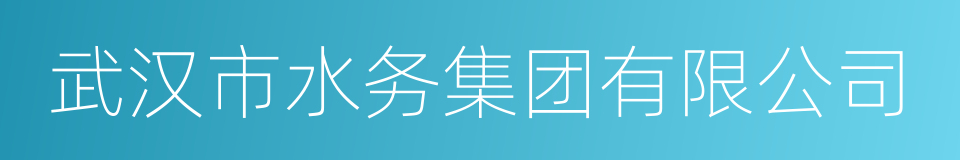 武汉市水务集团有限公司的同义词