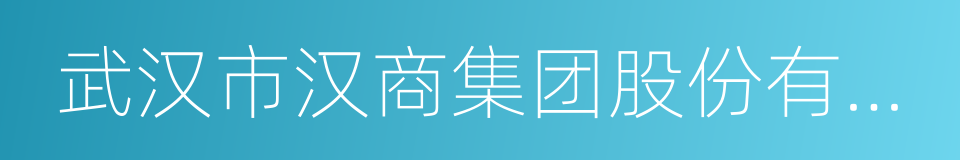 武汉市汉商集团股份有限公司的同义词