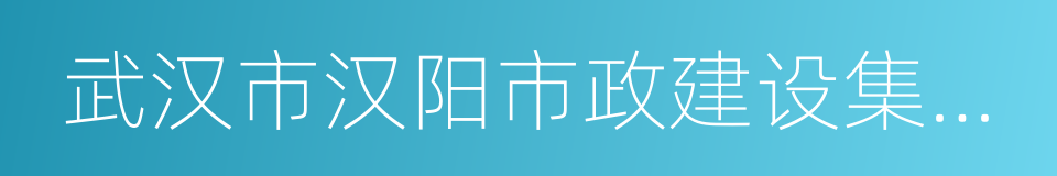 武汉市汉阳市政建设集团公司的同义词