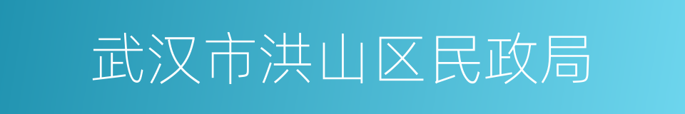 武汉市洪山区民政局的同义词
