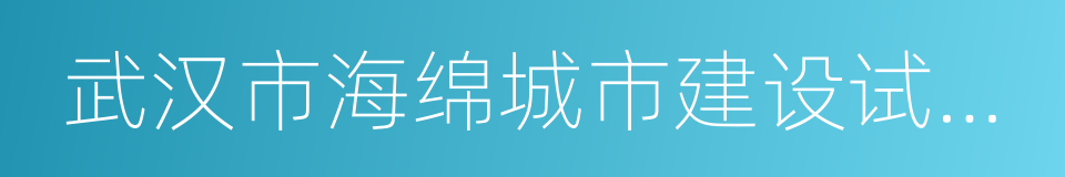 武汉市海绵城市建设试点工作实施方案的同义词