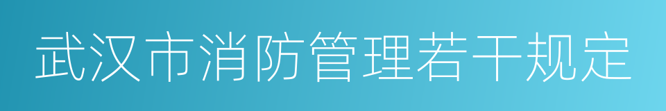 武汉市消防管理若干规定的同义词