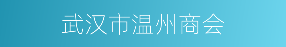 武汉市温州商会的同义词