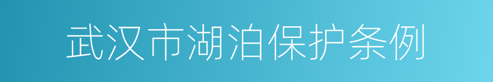 武汉市湖泊保护条例的同义词