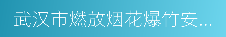 武汉市燃放烟花爆竹安全管理规定的同义词