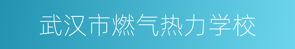 武汉市燃气热力学校的同义词