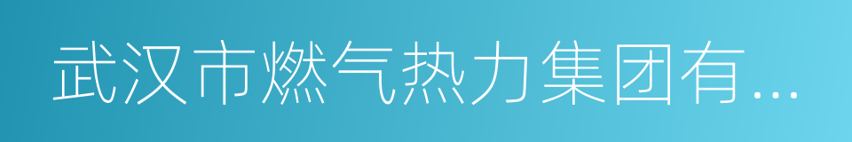 武汉市燃气热力集团有限公司的同义词