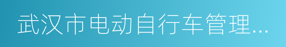 武汉市电动自行车管理暂行办法的同义词