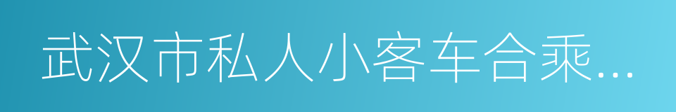 武汉市私人小客车合乘出行指导意见的同义词