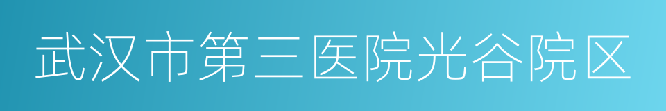 武汉市第三医院光谷院区的同义词