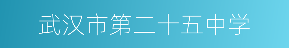武汉市第二十五中学的同义词