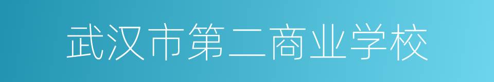 武汉市第二商业学校的同义词