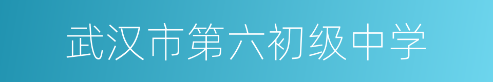 武汉市第六初级中学的同义词