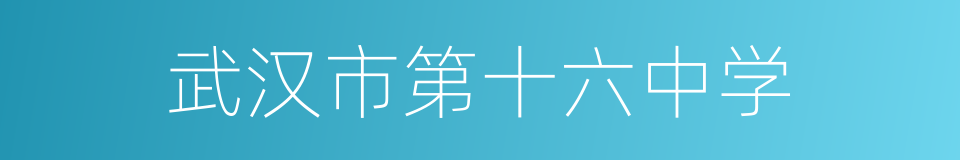 武汉市第十六中学的同义词