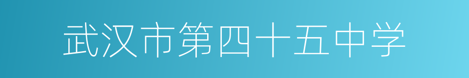 武汉市第四十五中学的意思