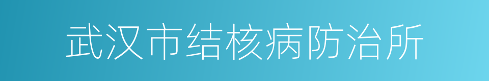 武汉市结核病防治所的同义词