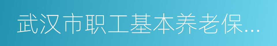 武汉市职工基本养老保险参保补缴暂行办法的同义词