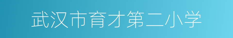 武汉市育才第二小学的同义词