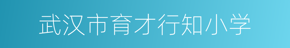 武汉市育才行知小学的同义词