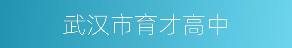 武汉市育才高中的同义词