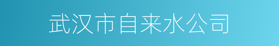 武汉市自来水公司的同义词