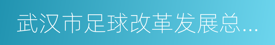 武汉市足球改革发展总体方案的同义词