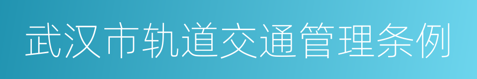 武汉市轨道交通管理条例的同义词