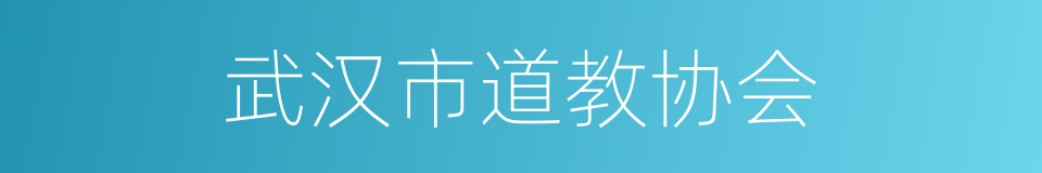 武汉市道教协会的同义词