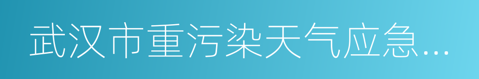 武汉市重污染天气应急预案的同义词