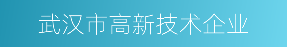 武汉市高新技术企业的同义词