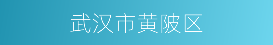 武汉市黄陂区的同义词