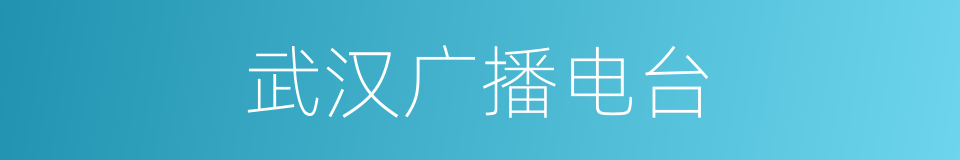武汉广播电台的同义词