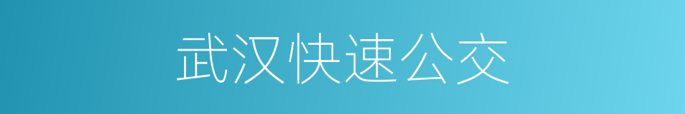 武汉快速公交的同义词