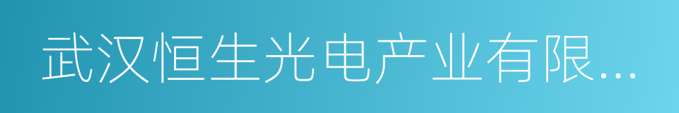 武汉恒生光电产业有限公司的同义词