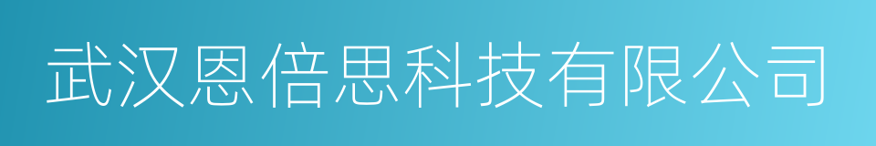 武汉恩倍思科技有限公司的同义词