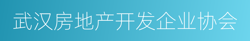 武汉房地产开发企业协会的同义词