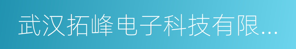 武汉拓峰电子科技有限公司的同义词