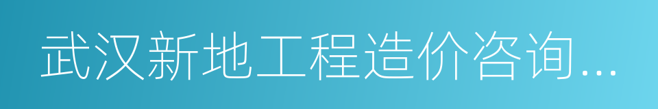 武汉新地工程造价咨询有限公司的同义词