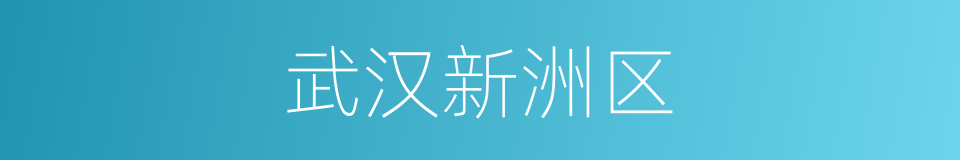 武汉新洲区的同义词