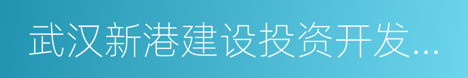 武汉新港建设投资开发集团有限公司的同义词