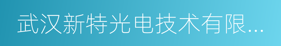 武汉新特光电技术有限公司的同义词