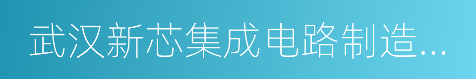 武汉新芯集成电路制造有限公司的同义词